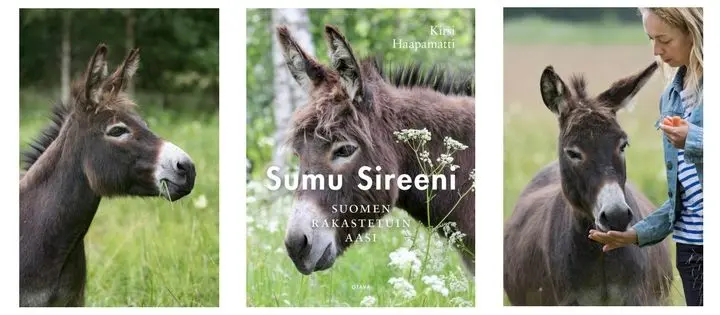 Uutuuskirja: Sumu Sireeni – Suomen rakastetuin aasi