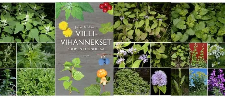 Kutsu: Tervetuloa villivihannesten maailmaan Helsingin kasvitieteelliseen puutarhaan 19.3.