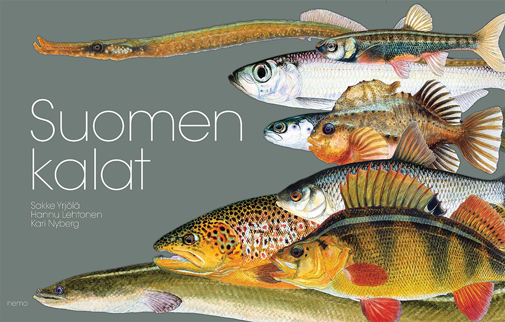 Suomen kalat kuuluu jokaisen kalastajan, mökkiläisen, ruoanlaittajan ja luonnonystävän haaviin.