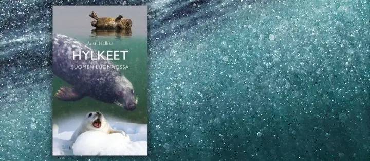 Hylkeet Suomen Luonnossa tarjoaa uusinta tietoa hylkeiden kiehtovasta elämästä