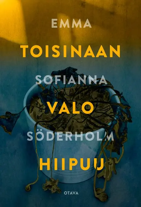 Toisinaan valo hiipuu on mustalla huumorilla maustettu romaani nuoresta väliinputoajasta
