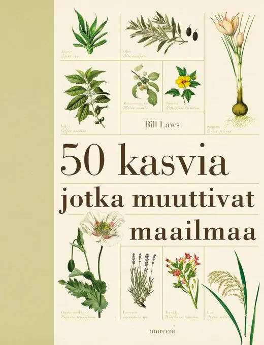 Ihanissa luontokirjoissa sukelletaan kasvien kiehtovaan maailmaan