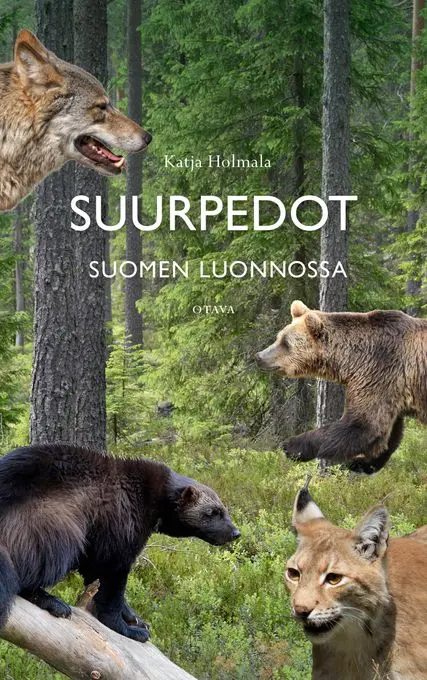 Vihdoin luonto-opas, joka esittelee kaikki Suomessa tavatut suurpedot